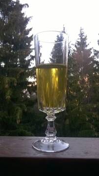 Public Photo of FannyDino