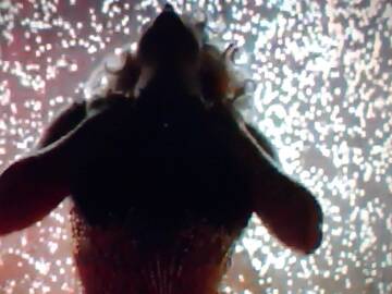 Public Photo of laporschelina