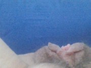 la mia figa vogliosa si gonfia