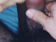 Lo mette tutto dentro